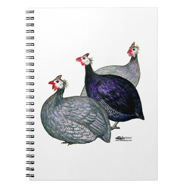 Cuaderno Guineas Tres (Frente)
