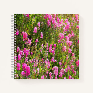 Cuaderno Guisantes de olor en la colina....