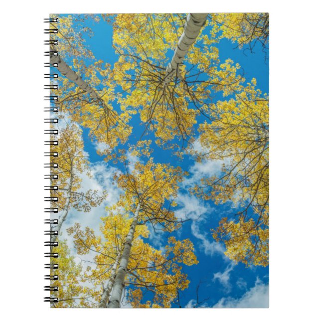 Cuaderno Gunnison National Forest Colorado (Frente)