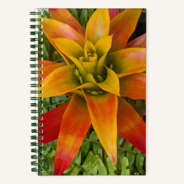 Cuaderno Guzmania Bromeliad Plant Floral