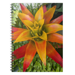 Cuaderno Guzmania Bromeliad Plant Floral