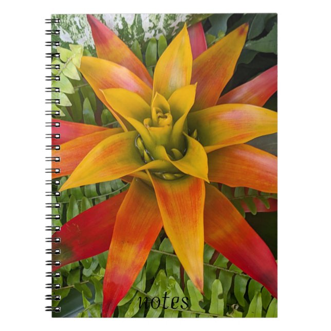 Cuaderno Guzmania Bromeliad Plant Floral (Frente)