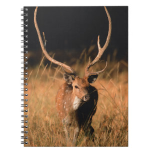 Cuaderno Hábitat natural cínico Parque nacional de Bandha