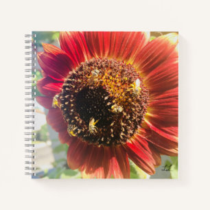 Cuaderno Hacer del mundo un lugar mejor
