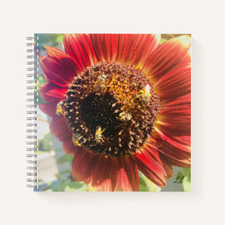 Cuaderno Hacer del mundo un lugar mejor