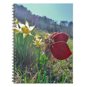 Cuaderno hada de ala roja y daffodis