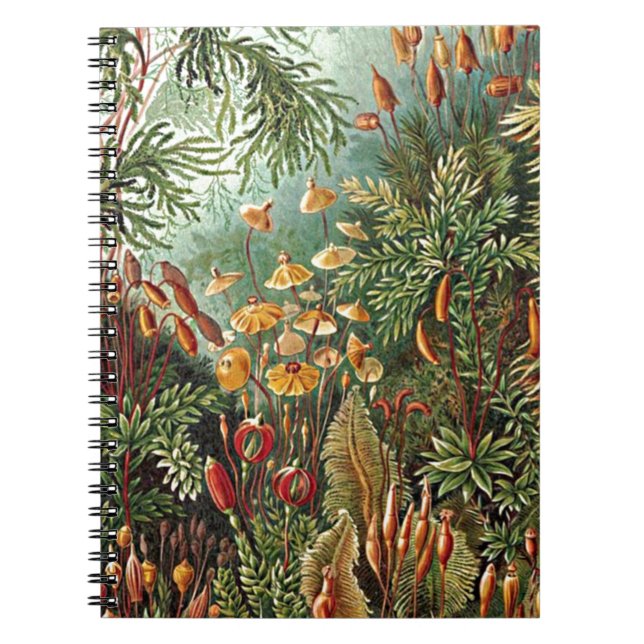 Cuaderno Haeckel Moss, Grass y Fungus Mushroom Painting (Frente)