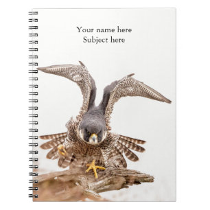 Cuaderno Halcón de peregrino