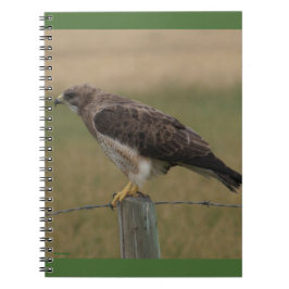 Cuaderno Halcón de Swainson B10