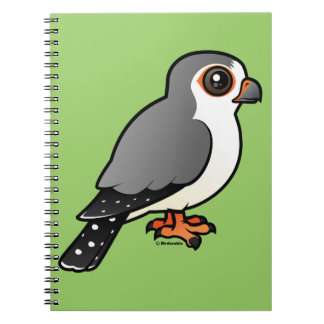 Cuaderno Halcón enano africano
