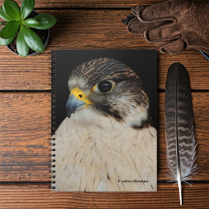 Cuaderno Halcón Híbrido Gyrfalcon Saker