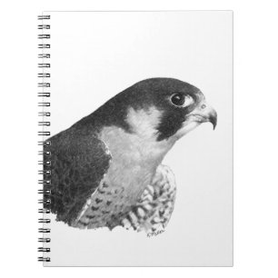 Cuaderno Halcón-Lápiz del peregrino