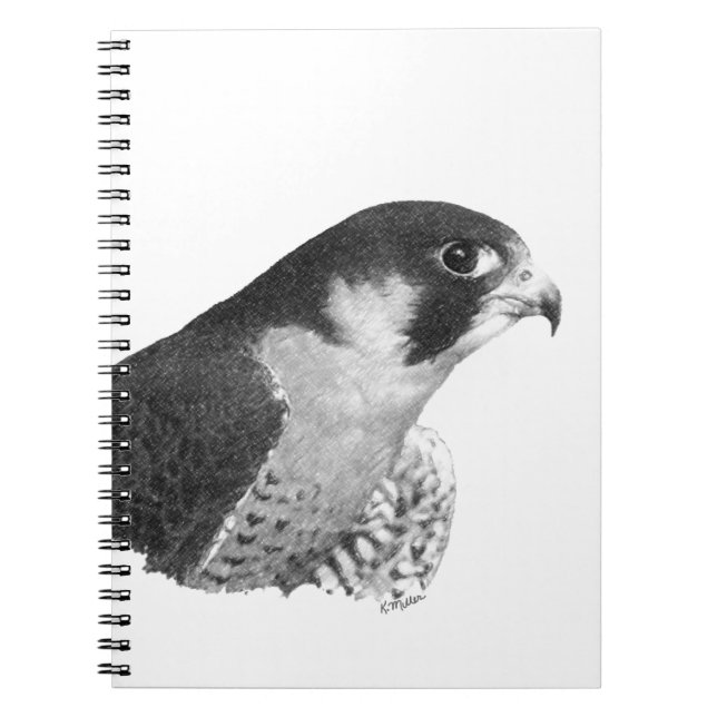Cuaderno Halcón-Lápiz del peregrino (Frente)