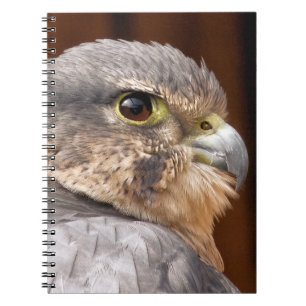 CUADERNO HALCÓN MERLIN AVE DE RAPINIA