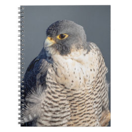 Cuaderno Halcón Peregrino a lo largo del río Hudson