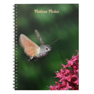 Cuaderno Halcón-polilla del colibrí que asoma