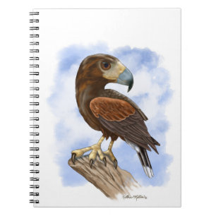 Cuaderno Halconcito de Harris Al Acecho Caricatura