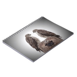 Cuaderno Halcones en un poste