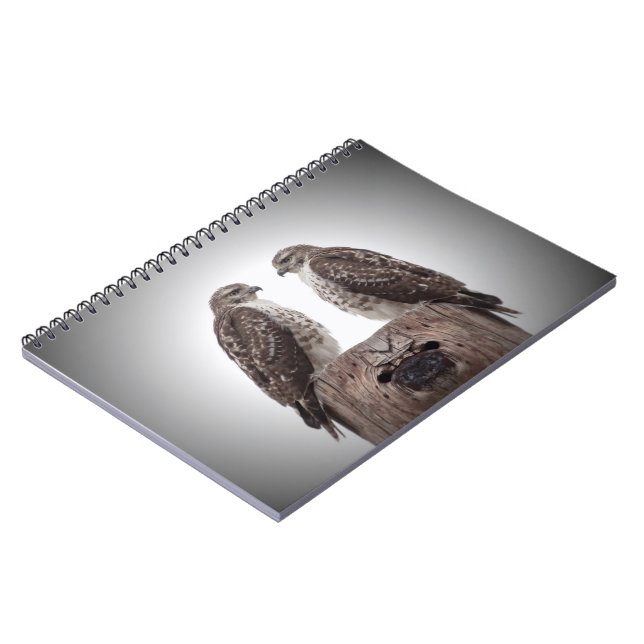 Cuaderno Halcones en un poste (Lado Izquierdo)