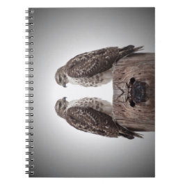 Cuaderno Halcones en un poste