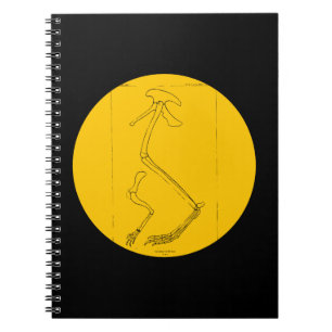 Cuaderno Hallopus Victor
