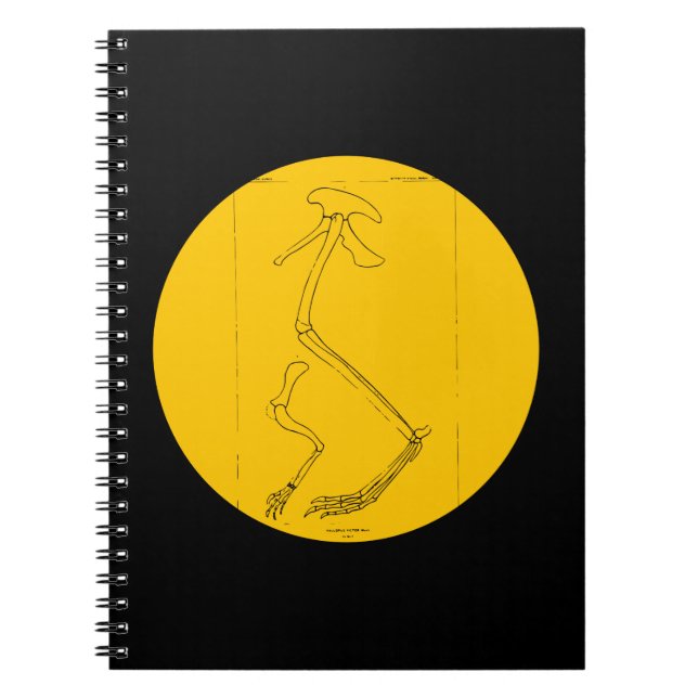 Cuaderno Hallopus Victor (Frente)