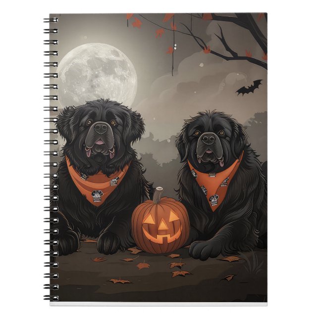 Cuaderno Halloween en Terranova (Frente)