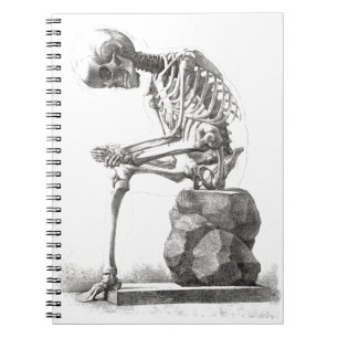 Cuaderno Halloween Skeleton Sitting Anatomy