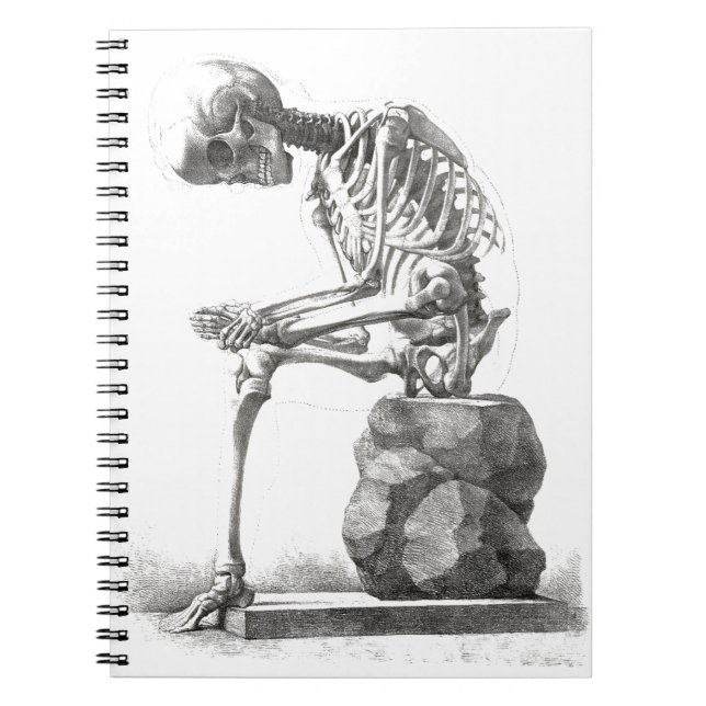 Cuaderno Halloween Skeleton Sitting Anatomy (Frente)