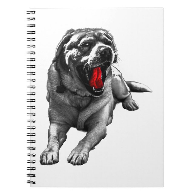 Cuaderno Halloween Yawn Notes (Frente)