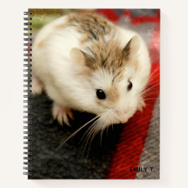 Cuaderno Hammyville - Cute Hamster
