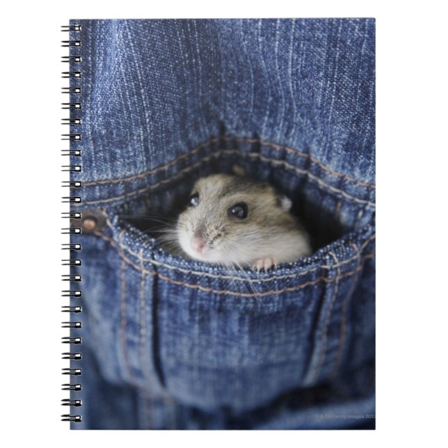 Cuaderno Hámster en el bolsillo (Frente)