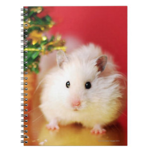 Cuaderno Hámster Kokolinka con el árbol de navidad