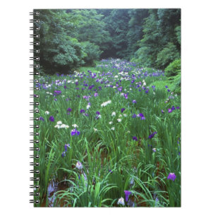 Cuaderno Hana Shobu (Iris Japonés de Agua), Santuario Meiji
