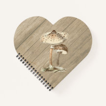 Hand Drawn Parasol Mushroom