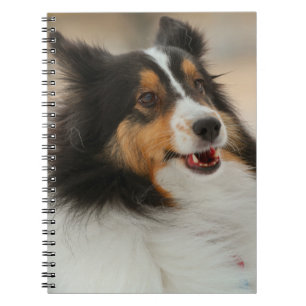 Cuaderno Happy Shelty