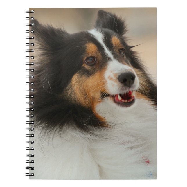 Cuaderno Happy Shelty (Frente)