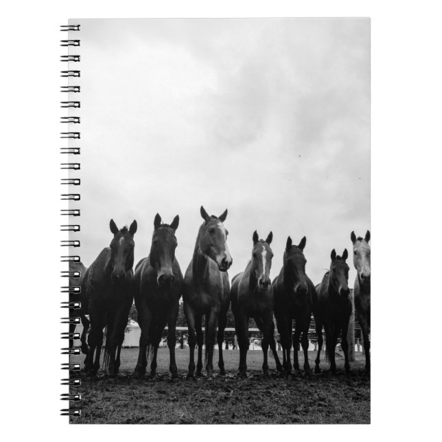 CUADERNO HARAS LA POLACA (Frente)
