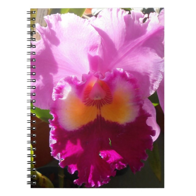 Cuaderno Harlinde (Frente)