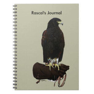 Cuaderno Harris Hawk en guante