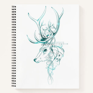Cuaderno Harry Potter   Estadio Aguamenti EXPECTO PATRONUM™