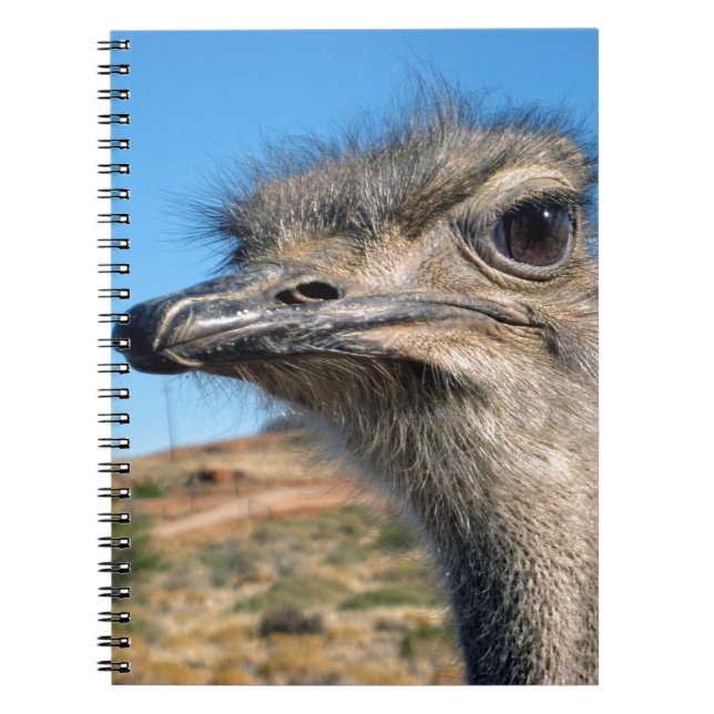 Cuaderno Harry the Happy Ostrich (Frente)