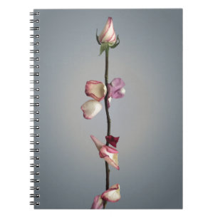 Cuaderno Hasta el último pétalo...