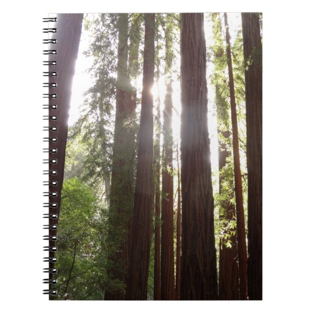 Cuaderno Hasta las secuoyas por la mañana (Frente)