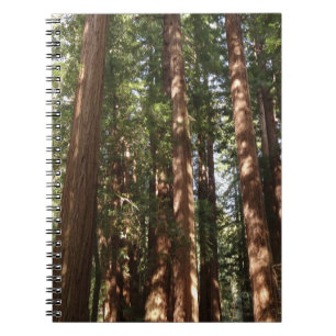 Cuaderno Hasta Redwoods II en el Monumento Nacional Muir Wo