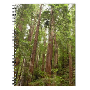 Cuaderno Hasta secuoyas en el Monumento Nacional Muir Woods