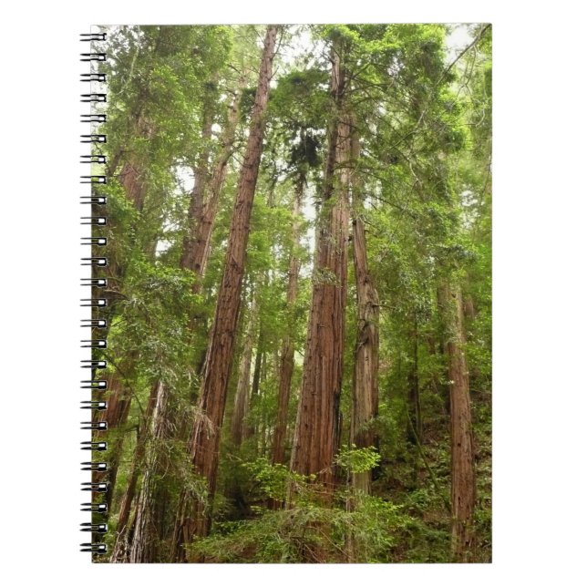 Cuaderno Hasta secuoyas en el Monumento Nacional Muir Woods (Frente)