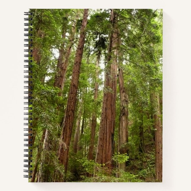 Cuaderno Hasta secuoyas en el Monumento Nacional Muir Woods (Anverso)