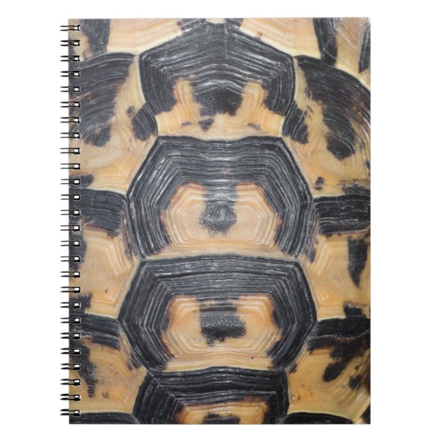 Cuaderno Havana (Frente)