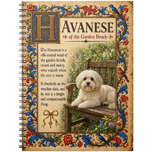 Cuaderno Havanés, Arte de Bestiario Medieval